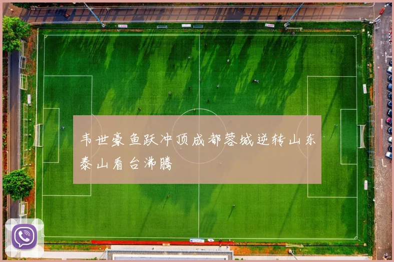 韦世豪鱼跃冲顶成都蓉城逆转山东泰山看台沸腾