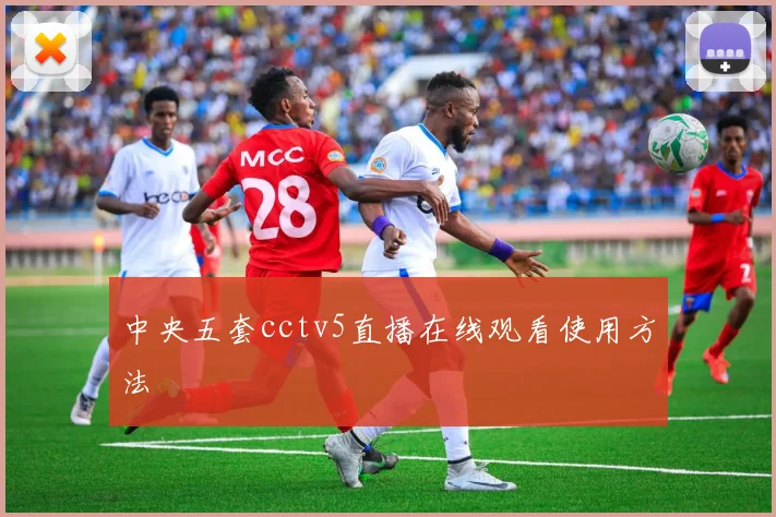 中央五套cctv5直播在线观看使用方法