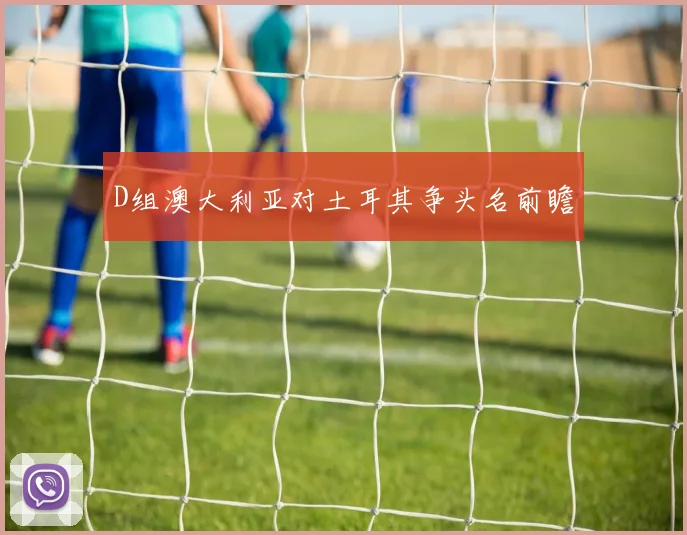 D组澳大利亚对土耳其争头名前瞻