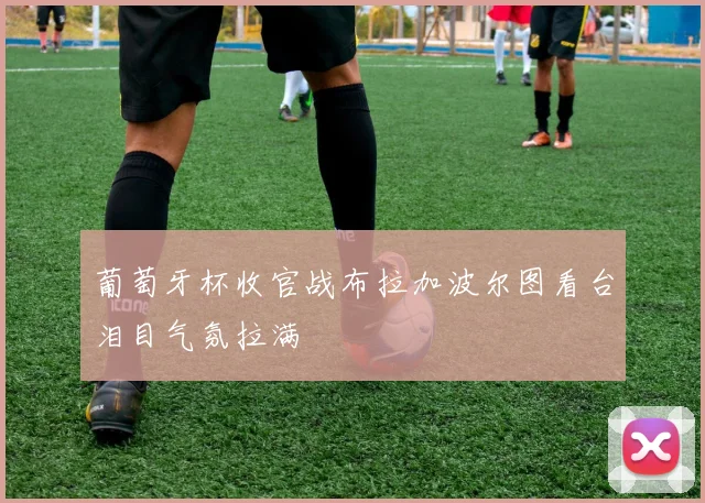 葡萄牙杯收官战布拉加波尔图看台泪目气氛拉满