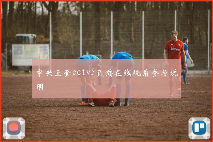 中央五套cctv5直播在线观看参与说明