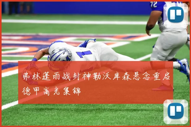 弗林蓬雨战封神勒沃库森悬念重启德甲高光集锦