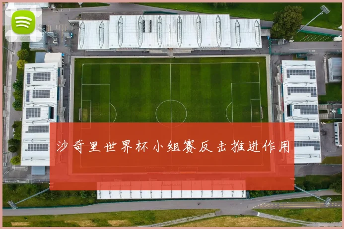 沙奇里世界杯小组赛反击推进作用