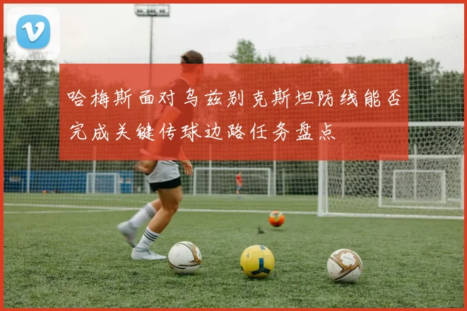 哈梅斯面对乌兹别克斯坦防线能否完成关键传球边路任务盘点