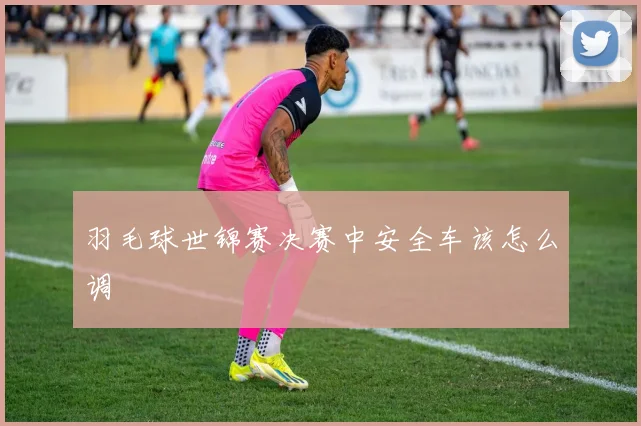 羽毛球世锦赛决赛中安全车该怎么调