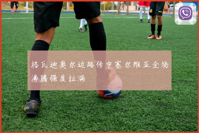 格瓦迪奥尔边路传中塞尔维亚全场沸腾强度拉满