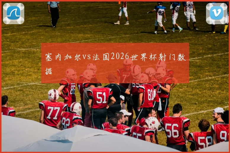 塞内加尔vs法国2026世界杯射门数据