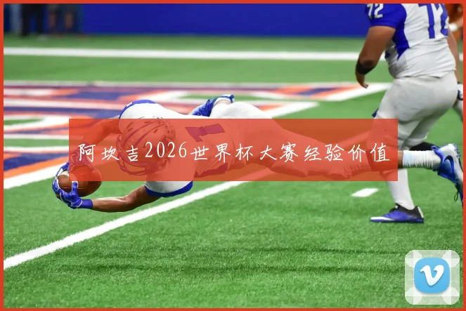 阿坎吉2026世界杯大赛经验价值