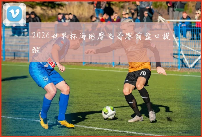2026世界杯海地摩洛哥赛前盘口提醒