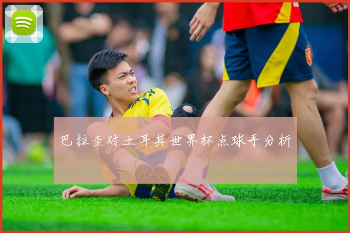 巴拉圭对土耳其世界杯点球手分析